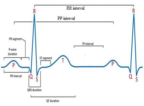 ECG Sensor vs. PPG Sensor: A Detailed Comparison