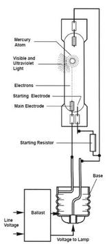 HID Bulb vs LED Bulb - Key Differences Explained