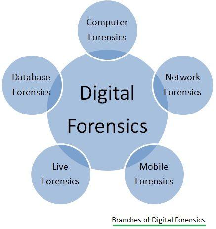 digital forensics branches