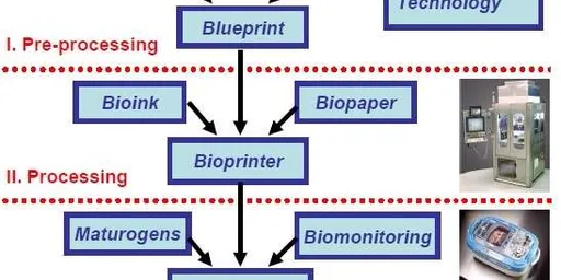 3D Bioprinting: Printing Body Parts with Bio-Printers
