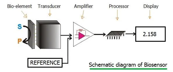 Types of Biosensors : Optical, Electrochemical, Piezoelectric examples